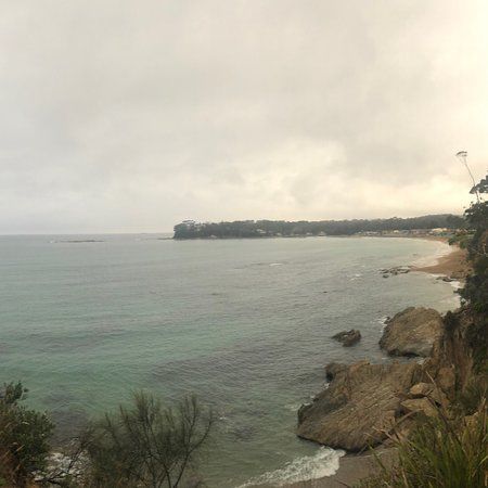 Observation Head Lookout